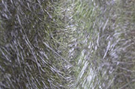 Hartforth fibreglass roof work